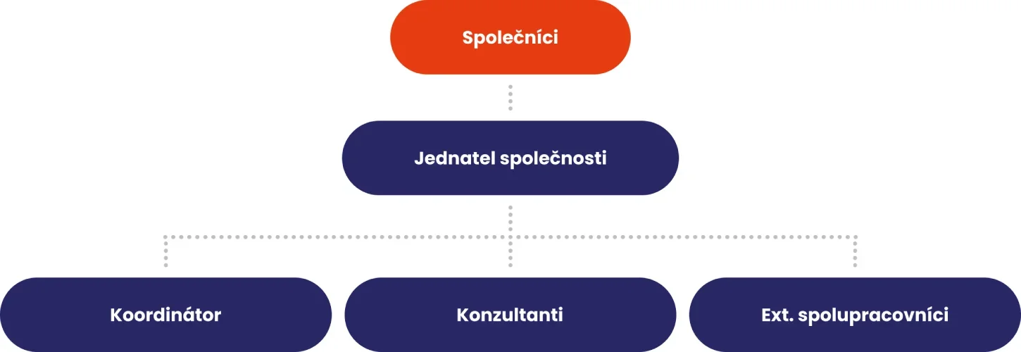 Struktura společnosti