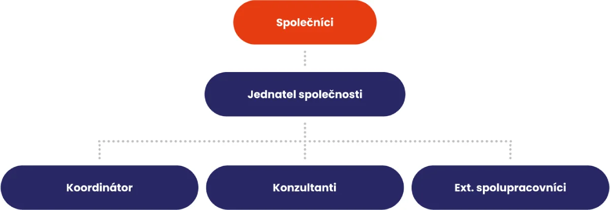 Struktura společnosti